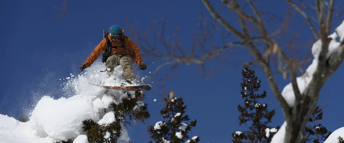 Stoic Elegant shop -Stoic Elegant shop 14