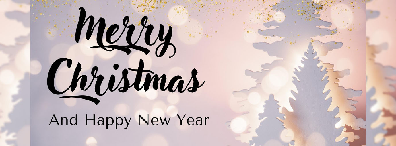 Stoic Elegant shop -Stoic Elegant shop 29